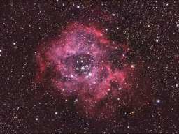 La Rosette - NGC 2244